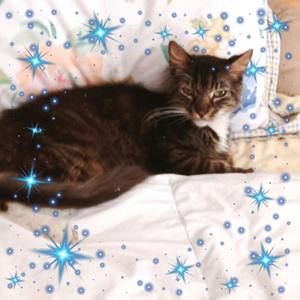 Meet your Posher, Chrisann